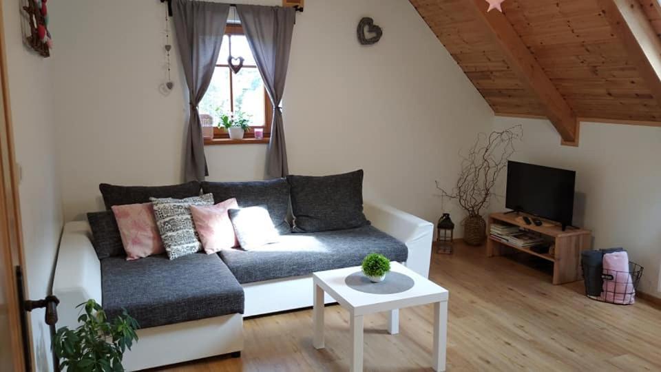 Apartmany U Vlcich Jam Petrowitz Exterior foto